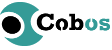 The Disruptive IDE for COBOL RPG PL/I Developers