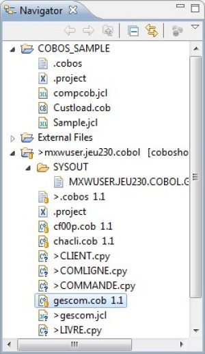Cobos Tutorial: How to unfold a COBOL program | Cobos